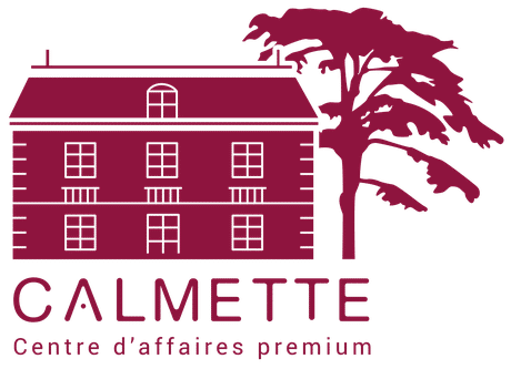 Centre Calmette — Centre d'affaires premium